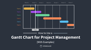 Project Management Using Gantt Chart     