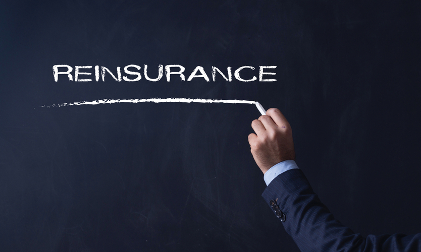 What is Reinsurance?     