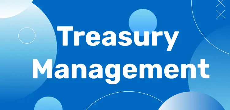 Treasury Management   